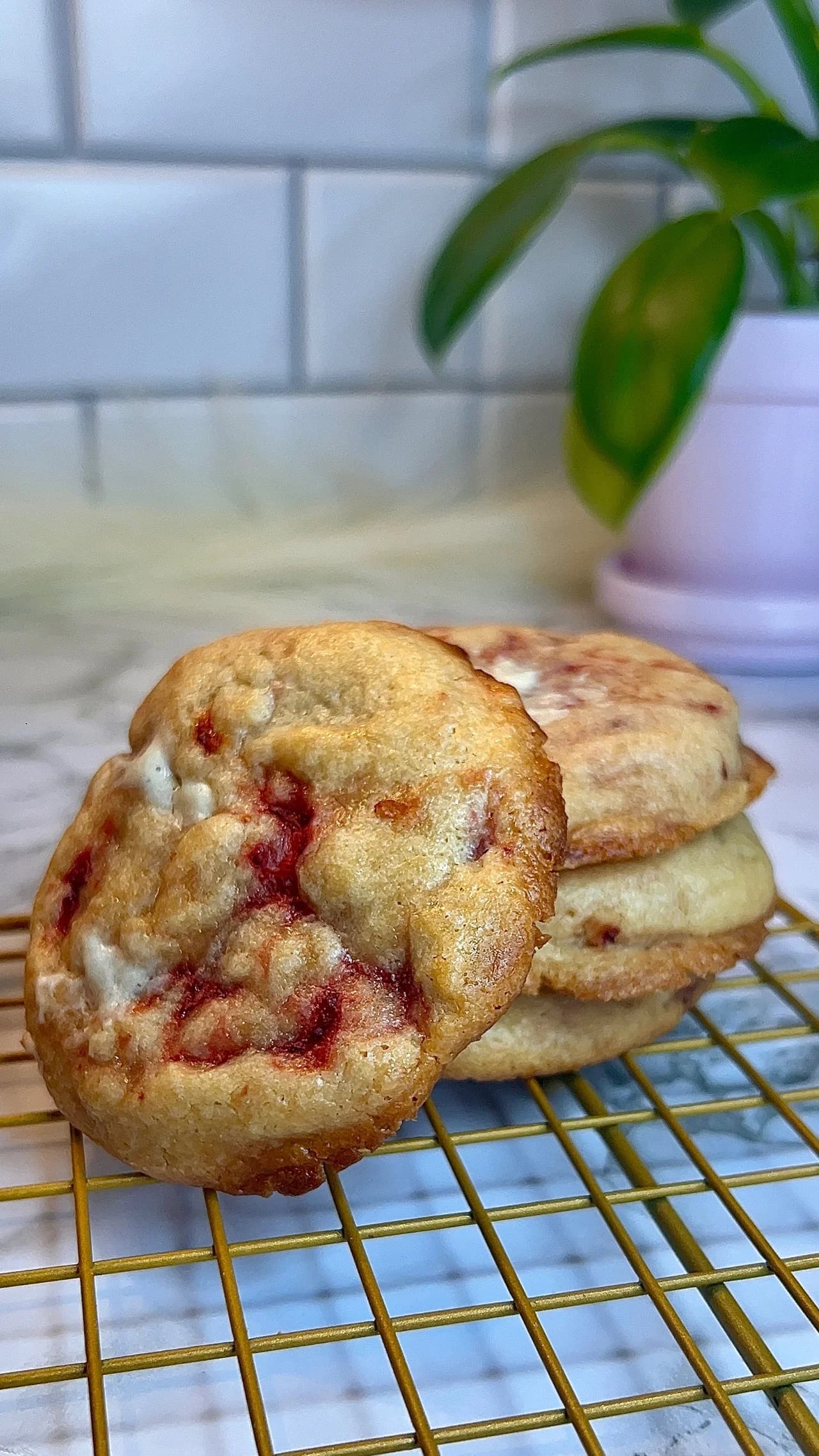 A close-up of strawberry cheesecake cookies stacked beside a plant